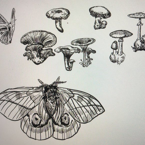 Custom Tattoo Flash Designs - Picture 8 of 14